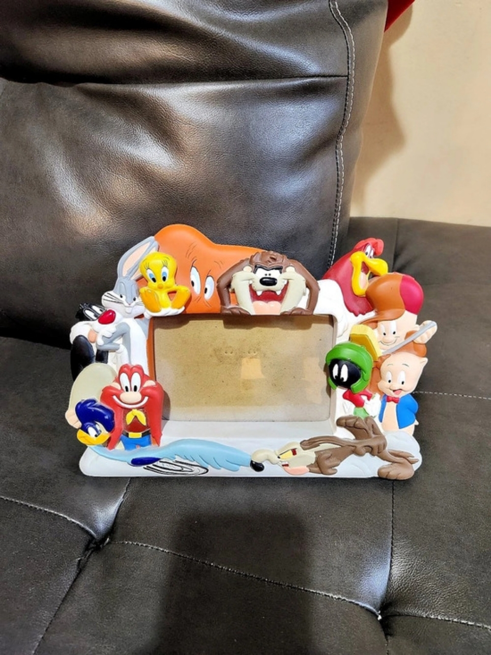 1998 Warner Bros. Looney Tunes. 3D Character Picture Frame